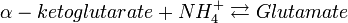 \alpha -ketoglutarate + NH_4^+ \rightleftarrows Glutamate