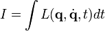 
I = \int L(\mathbf{q}, \dot{\mathbf{q}}, t) dt 
