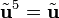 \tilde{\mathbf{u}}^5=\tilde{\mathbf{u}}