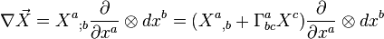\nabla \vec X = X^a{}_{;b} \frac {\partial} {\partial x^a} \otimes dx^b = (X^a{}_{,b}+\Gamma ^a _{bc}X^c) \frac {\partial} {\partial x^a} \otimes dx^b