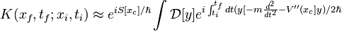 K(x_{f},t_{f};x_{i},t_{i})approx e^{i S[x_{c}]/ hbar} int mathcal{D}[y] e^{i int_{t_{i}}^{t_{f}}dt (y[-m frac{d^{2}}{dt^{2}} - V''(x_{c}] y)/2hbar} 