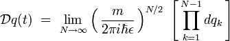 mathcal{D}q(t)  =  lim_{Ntoinfty} left( , frac{m}{2 pi i  hbar epsilon} , right)^{N/2}  left[ , prod_{k=1}^{N-1} dq_k , right]