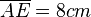 \overline{AE} = 8 cm