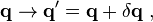 \mathbf{q} \rightarrow \mathbf{q}^{\prime} = \mathbf{q} + \delta \mathbf{q} ~,