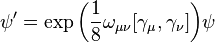 \psi' = \exp{\left(\frac{1}{8} \omega_{\mu\nu} [\gamma_{\mu}, \gamma_{\nu}]\right)} \psi