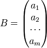 B= \begin{pmatrix} a_1 \\ a_2 \\ \cdots \\ a_m \end{pmatrix} \!