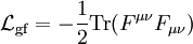 \ \mathcal{L}_\mathrm{gf} = - \frac{1}{2} \operatorname{Tr}(F^{\mu \nu} F_{\mu \nu}) 