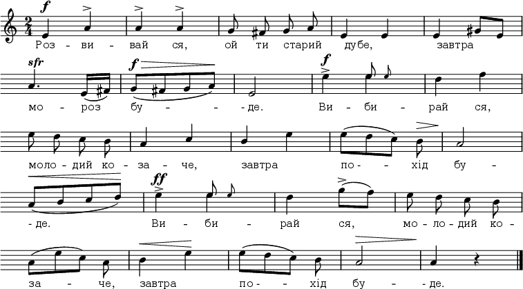 
\relative c' {
<<
\new voice="Song" {
 \autoBeamOff
 \omit Score.BarNumber
 \dynamicUp
 \time 2/4
% 1
e4\f a4^> | a4^> a4^> | g8 fis8 g8 a8 | e4 e4 | e4 gis8[e8] \break % 1
% 2
\hide Score.Clef \hide Score.KeySignature
a4.^\markup {\italic \bold "sfr"} e16([fis16]) | g8\f\>([fis8 g a])\! | e2 |
<< { s4 \afterGrace e'8 e8 } \\ { \dynamicUp e4^>\f e4 } >> |
d4 f4 \break
% 3
e8 d c b | a4 \stemUp c4 | b4 \stemNeutral e4 | e8([d c]) b8\> | a2\! \break
% 4
\stemUp a8\<([b8 c d])\! \stemNeutral |
<< { s4 \afterGrace e8 e8 } \\ { \dynamicUp e4^>\ff e4 } >> |
d4 g8->([f]) | e8 d c b \break
% 5
a8([e'8 c8]) \once \stemDown a8 | b4\< e\! | e8([d c]) b8 | a2\> | a4\! r \bar "|."
}

\new Lyrics \lyricmode {
 \set associatedVoice = #"Song"
 \override LyricText.font-size = #0
Роз -- ви -- вай ся, ой8 ти8
\override LyricText.self-alignment-X = #LEFT
старий4 _дубе,2 _завтра2 мо4. -- роз8
\override LyricText.self-alignment-X = #0
бу2 -- -_де. Ви4 -- би -- рай ся,
\once \override LyricText.self-alignment-X = #LEFT моло --
дий8 ко -- за4 -- че,
\once \override LyricText.self-alignment-X = #LEFT завтра2
по_-4. -- хід8 бу2 --
-_де.2 Ви4 -- би4 -- рай ся, мо8 -- ло -- дий ко --
за4. -- че,8
\once \override LyricText.self-alignment-X = #LEFT завтра2
по_-4. -- хід8 бу2 -- -_де.
}
>>
}
