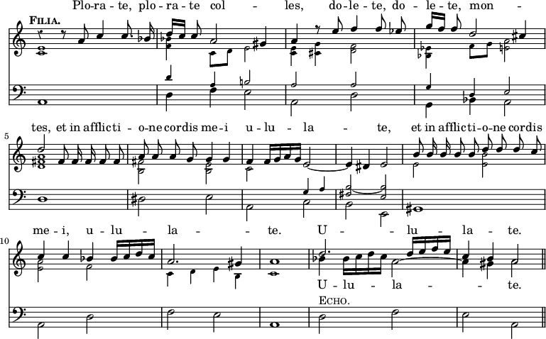 << \new Staff = "upper" { \time 4/4 \override Score.TimeSignature #'stencil = ##f \override Score.Rest #'style = #'classical \tempo \markup { \caps Filia. } <<
\new Voice = "filia" \relative a' { \stemUp \autoBeamOff r4 r8 a c4 c8. bes16 | d[ c] c8 a2 gis4 | a4 r8 e' f4 f8 ees | g16[ f] f8 d2 cis4 | d2 fis,8 fis16 fis fis8 fis | a a a g g4 g | f f16[ g a g] e2 ~ | e4 dis e2 | b'8 b16 b b8 b  d d d c | c4 c bes bes16[ c d c] | a2. gis4 | a1 | d2. d16[ e f e] | c4 b a2 \bar "||" }
\new Voice = "echo" \relative b' { \stemDown \autoBeamOff s1 s s s s s s s s s s s bes4 bes16[ c d c] a2 ~ | a4 gis a2 }
\new Voice = "accomp" \relative c' { \stemDown \tiny <c e>1 | <f bes>4 c8 d e2 | <c e>4 <cis g'> <d f>2 | <ees bes>4 f8 g <e a>2 | <d fis a>1 | <fis b,>2 <e b> | c2 s | s1 | e2 <e b'> | <e a> f | c4 d e b | c1 } >> }
\new Lyrics \with { alignAboveContext = "upper" } { \lyricsto "filia" { Plo -- ra -- te, plo -- ra -- te col -- _ les, do -- le -- te, do -- le -- te, mon -- _ tes, et in af -- flic -- ti -- o -- ne cor -- dis me -- i u -- lu -- la -- _ te, et in af -- flic -- ti -- o -- ne cor -- dis me -- i, u -- lu -- la -- _ te. U -- lu -- la -- _ te. } }
\new Lyrics \lyricsto "echo" { U -- lu -- la -- _ te. }
\new Staff << \clef bass
\new Voice \relative a, { \stemDown a1 | d4 f e2 | a, d | g,4 bes a2 | d1 | dis2 e | a, c | b e, | gis1 | a2 d | f e | a,1 | d2^\markup { \caps Echo. } f | e a, }
\new Voice \relative d' { \stemUp \tiny s1 d4 a b!2 | a a | g4 d e2 | s1 s | s2 g4 a <b fis>2 ~ <b e,> } >> >>