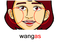 Þā wangas