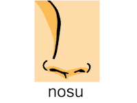 Sēo nosu