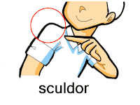 Se sculdor