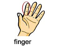 Se finger