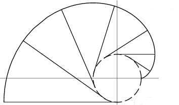 Soubor:Involute3.jpg