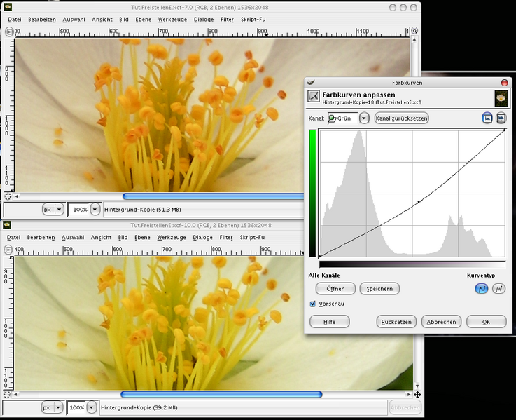 Datei:Gimp-tut-fs2-farbkurve-vn.png