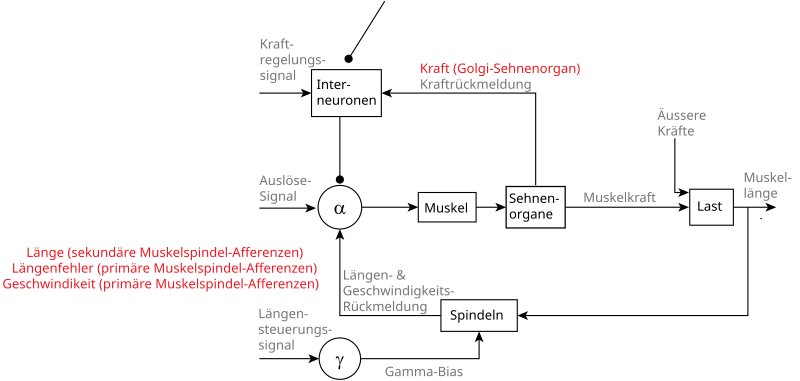 Datei:Propriozeption Signale.svg