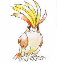 File:Pidgeot RB.jpg