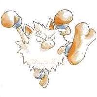 File:Primeape RB.jpg