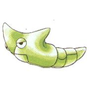 File:Metapod RB.jpg