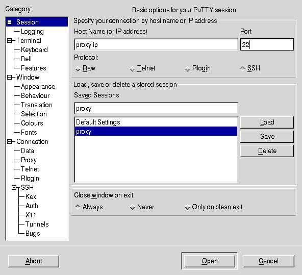 پرونده:Screenshot-PuTTYConfiguration-1.png