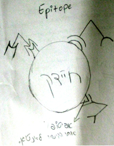 קובץ:Epitope.PNG