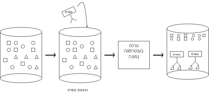 קובץ:Immunoprecipitation.JPG