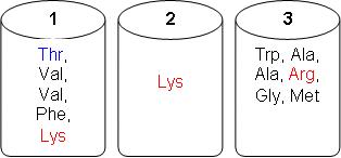 קובץ:Bagrut Biochemistry 2004 3 1.JPG