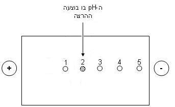 קובץ:Electrophoresis example.JPG