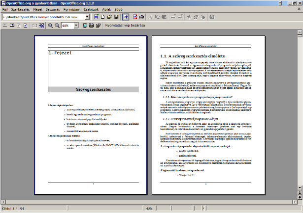 Fájl:OOo1 Writer Nyomtatási kép.png