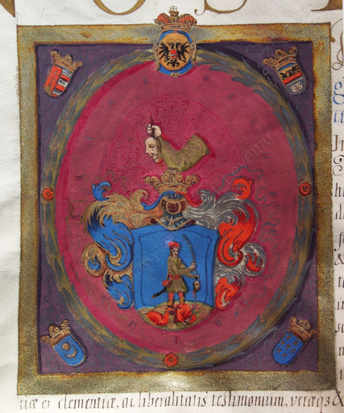 Fájl:Hatolykai Matis címer, 1700.png