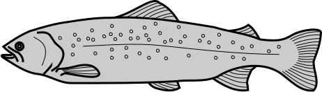 Fájl:Ch-C, áll - pisztráng.svg