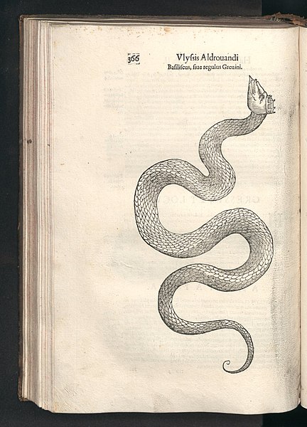 Fájl:Tengeri kígyó, baziliszkusz, Bartholomaeus Ambrosinus, 1640. 366.jpg