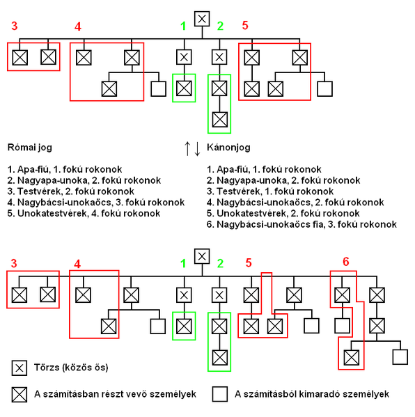 Fájl:Rokonsagi fokozatok c.PNG