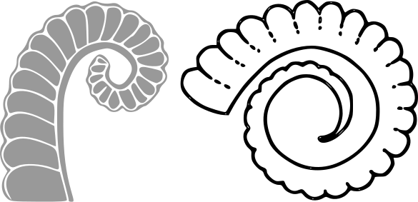 Fájl:Ch-C, áll - bakszarvak.svg