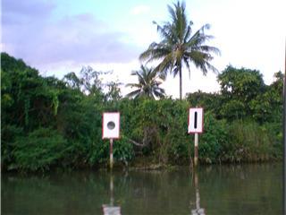 Berkas:Rambusungai.jpg