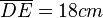 \overline{DE} = 18 cm