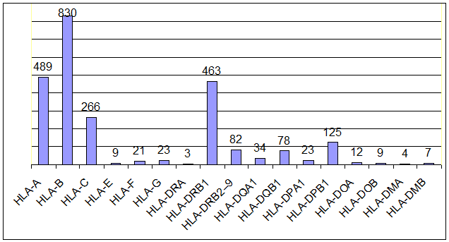 Файл:Диаграмма полиморфизма HLA.png