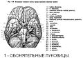 Миниатюра для версии от 02:10, 1 апреля 2010