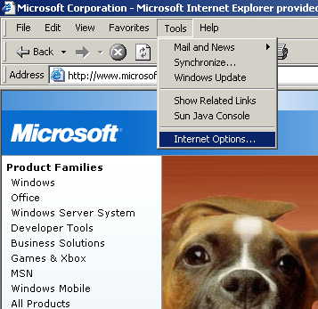 Bestand:Ie internet options.jpg