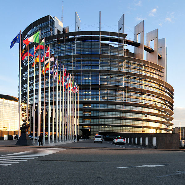 File:14-02-04-Parlement-européen-Strasbourg-RalfR-046.jpg