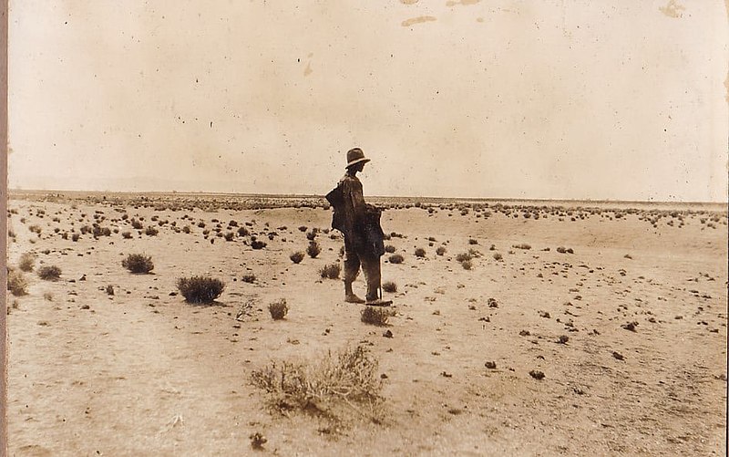 Lêer:A shepherd in the desert between Steinkopf and Goodhouse, Namaqualand, 14 March 1931 deur Arthur William Rogers.jpg