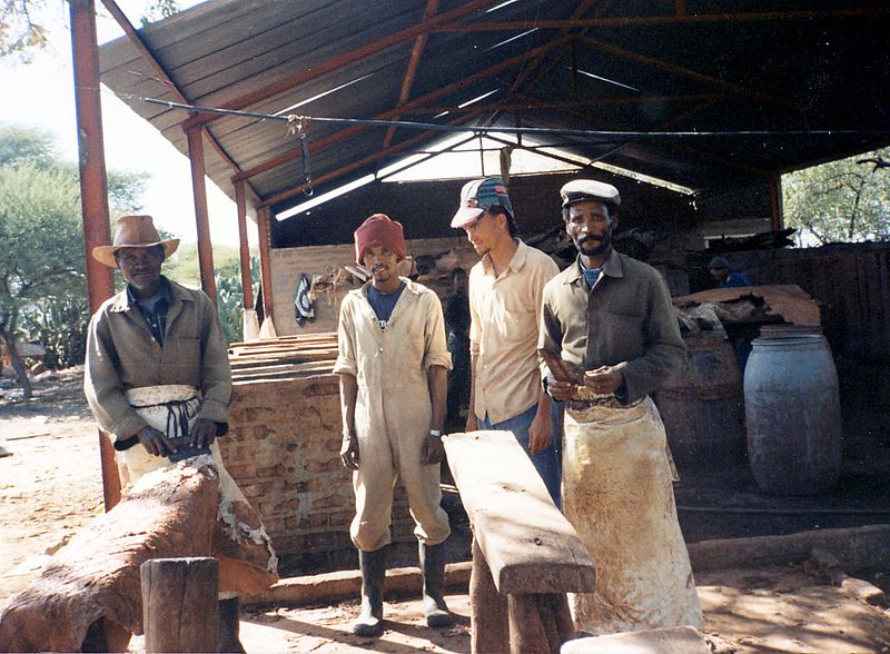 Lêer:Leerlooiery op D'Kar in Botswana.jpg