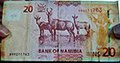 20 Namibiese dollar (agterkant)