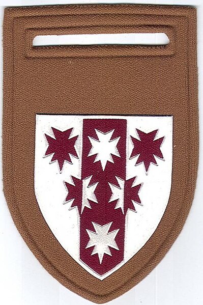 Lêer:6 Medical Group Bn shoulder flash.jpg