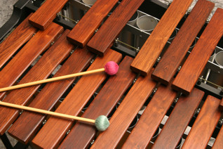 ملف:Marimba1.jpg