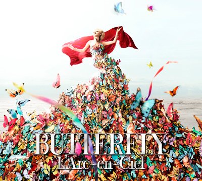 Fayl:Butterfly larcenciel.jpg