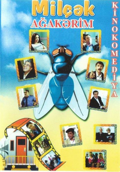 Fayl:Milçək (film, 2006).jpg