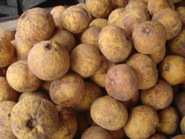 Ladawan:Santol005.jpg