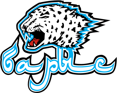 Файл:Barys Astana Logo.svg