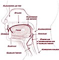 Munud eus stumm an 18 Gou 2011 da 13:33